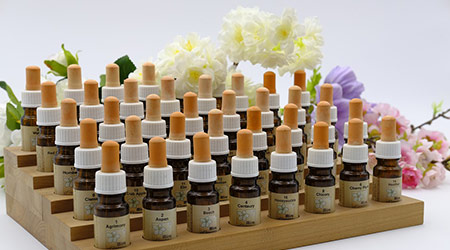 Flores de bach en Castell&oacute;n, tecnicas complementarias